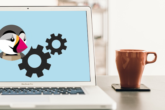 Wdrożenie sklepu PrestaShop – UX, SEO i wydajność